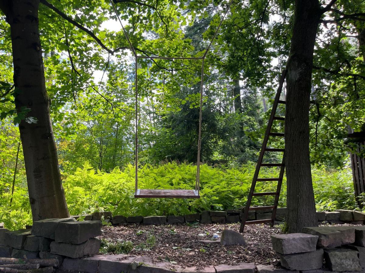 代特莫尔德Gruen In Gruen公寓 外观 照片